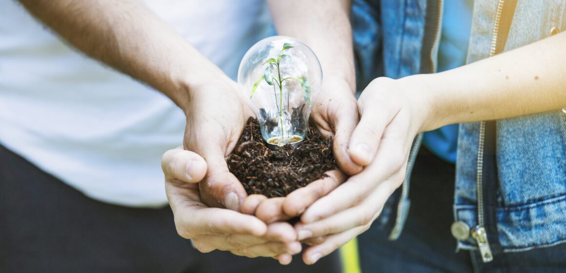 Projeto “Caixa ECOBOX” é o grande destaque.