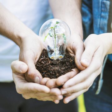 Projeto “Caixa ECOBOX” é o grande destaque.