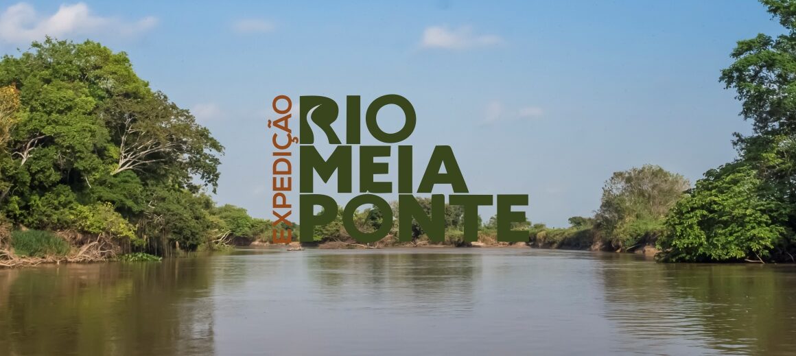 Jaepel é homenageada por atuação ambiental no Meia Ponte