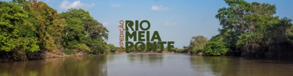 Jaepel é homenageada por atuação ambiental no Meia Ponte