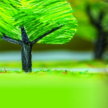 Escolinha realiza atividade artística alusiva a futuro sustentável.