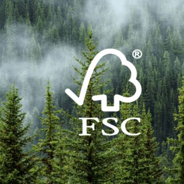 Jaepel passa por auditoria do FSC e recebe avaliação positiva